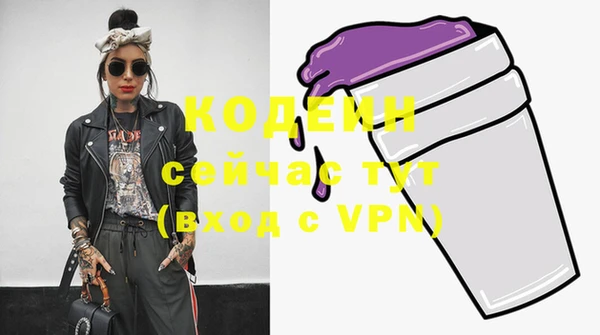 хмурый Богородицк