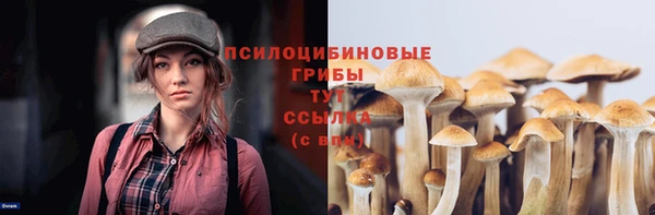 меф Богданович